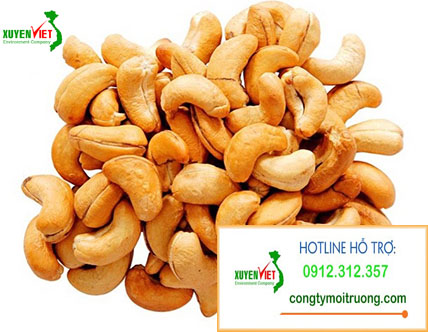 1 IyKZ2pQA89QlacHG1JfADg Hệ thống xử lý nước thải sản xuất hạt điều đạt chuẩn   Công Ty Xuyên Việt
