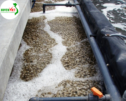 70b31fa3865967073e48 Hệ Thống Xử Lý Nước Thải Bệnh Viện Đạt Chuẩn   Công Ty Xuyên Việt