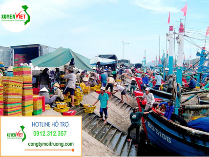 cang ca 1 2 Hệ thống xử lý nước thải cảng cá đạt chuẩn số 1   Công ty Xuyên Việt