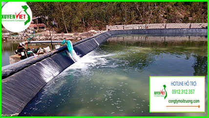 Hệ thống xử lý nước thải chế biến thủy sản đạt chuẩn Công Ty Xuyên Việt giai phap xu ly nuoc thai thuy san Hệ thống xử lý nước thải chế biến thủy sản đạt chuẩn Công Ty Xuyên Việt