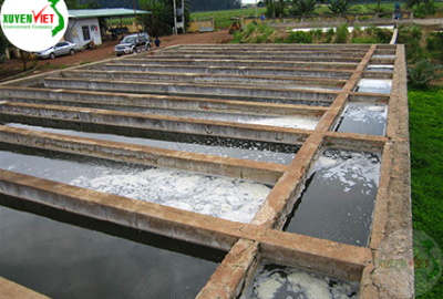 Hệ thống xử lý nước thải chế biến cao su đạt chuẩn – Công ty Xuyên Việt