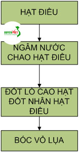 hạt điều Hệ thống xử lý nước thải sản xuất hạt điều đạt chuẩn   Công Ty Xuyên Việt