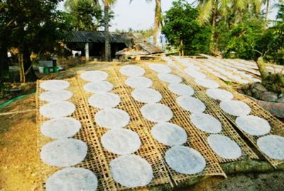 Hệ Thống Xử Lý Nước Thải Chế Biến Bánh Tráng- Môi Trường Xuyên Việt