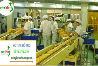 Hệ Thống Xử Lý Nước Thải Mì Ăn Liền – Công Ty Môi Trường Xuyên Việt