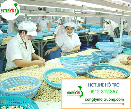 xuat khau hat dieu 3 Hệ thống xử lý nước thải sản xuất hạt điều đạt chuẩn   Công Ty Xuyên Việt